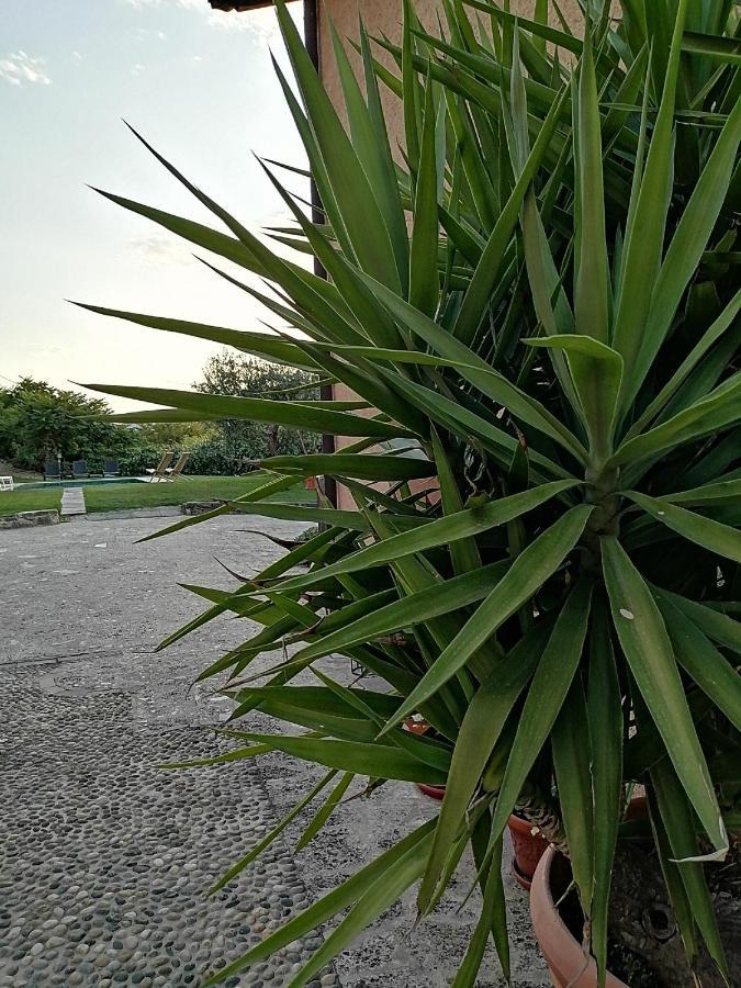 洛根戴力维住宿加早餐旅馆 伊塞奥 外观 照片