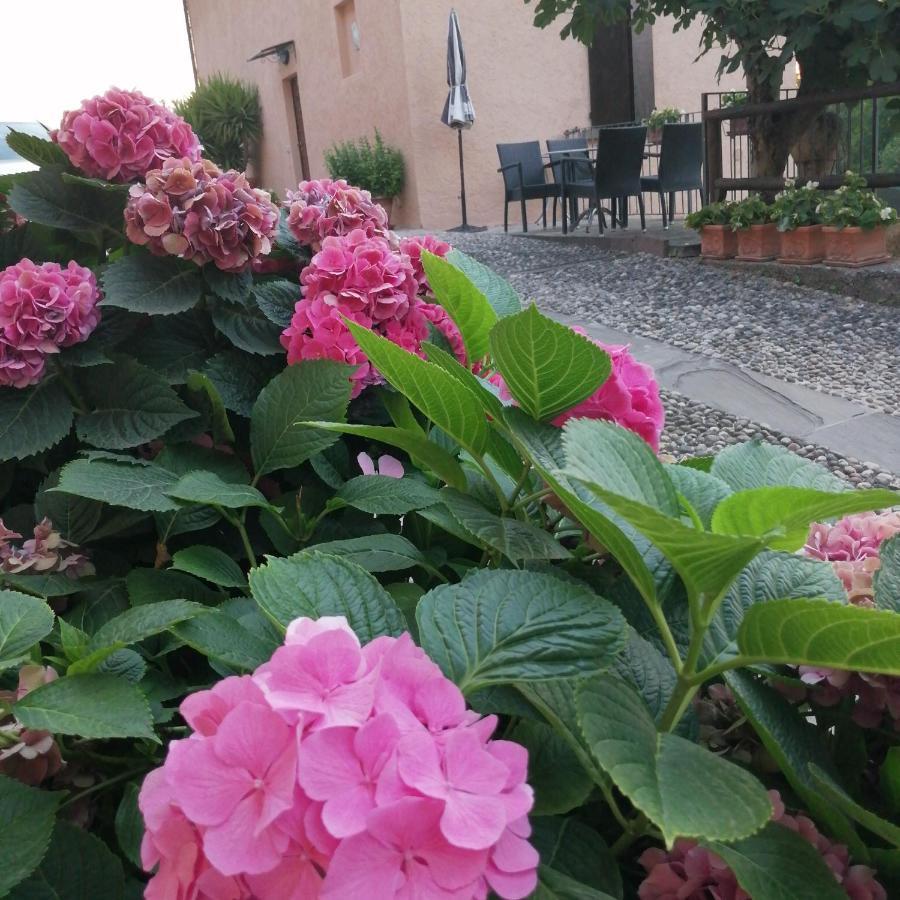洛根戴力维住宿加早餐旅馆 伊塞奥 外观 照片